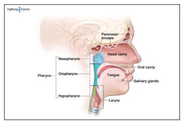 Risk factors of Head and Neck Cancer