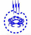 The Bangladesh Society of Radiation Oncologists (BSRO)